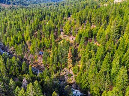 38 Valhalla Ln., Sierra City, CA 96125 Photo