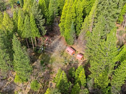 38 Valhalla Ln., Sierra City, CA 96125 Photo