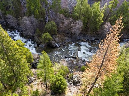 38 Valhalla Ln., Sierra City, CA 96125 Photo