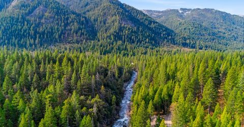 38 Valhalla Ln., Sierra City, CA 96125 Photo