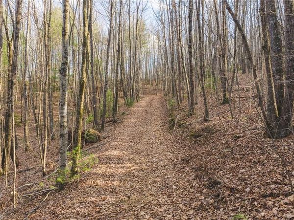TBD Lot 2 All Healing Springs Road , Taylorsville, NC 28681