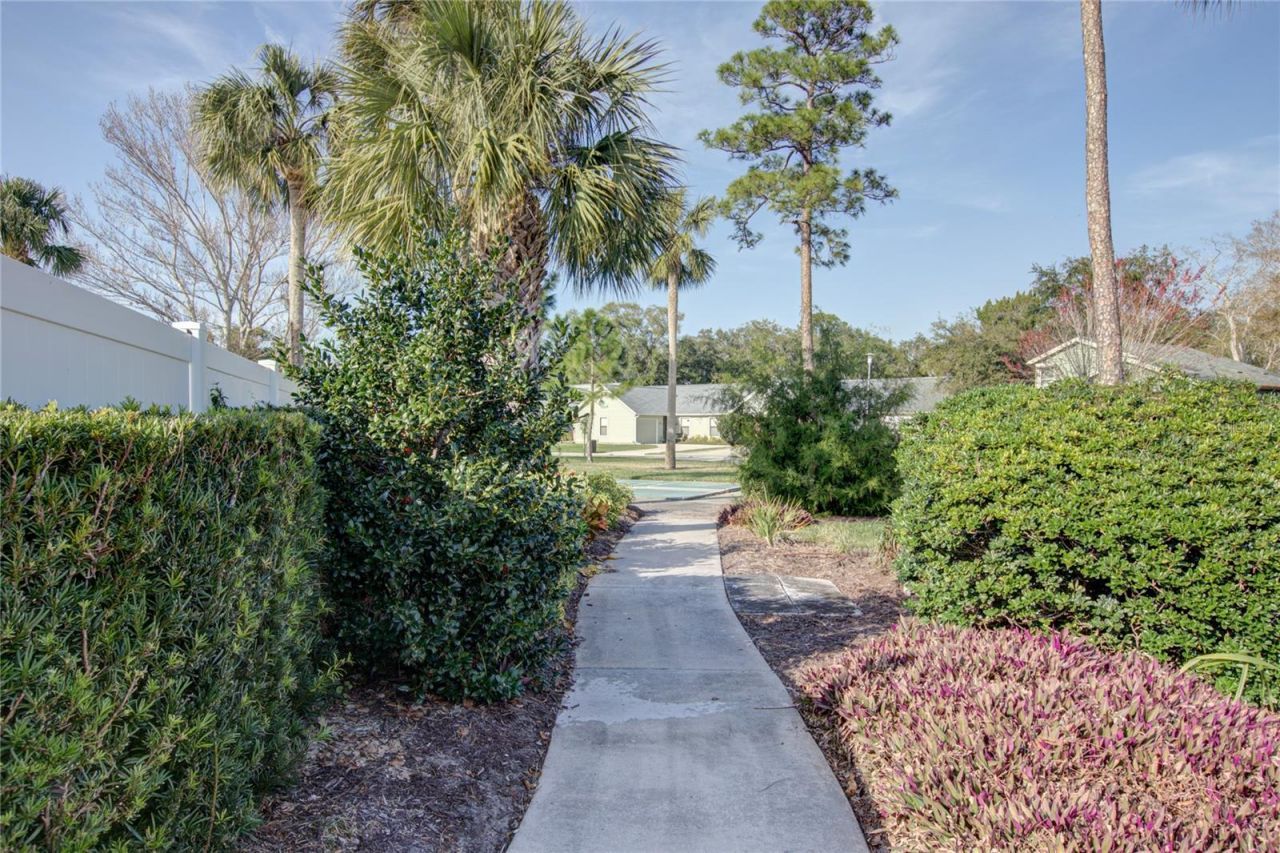 731 Pine Shores Circle , New Smyrna Beach, FL 32168 Photo