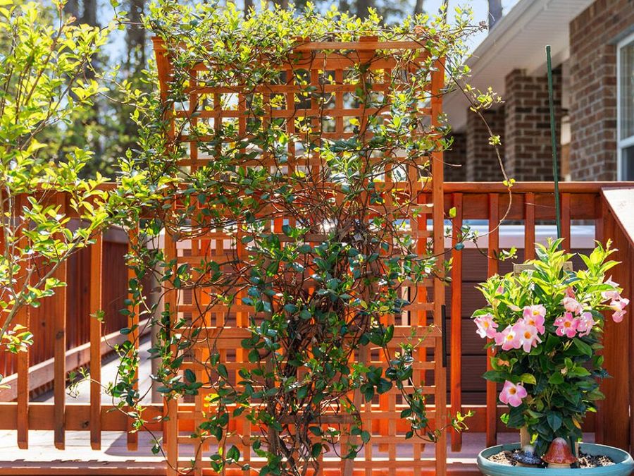 Property Image 63