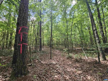 100 Ac JAMES ANDERSON HWY W, Gladstone, VA 24553