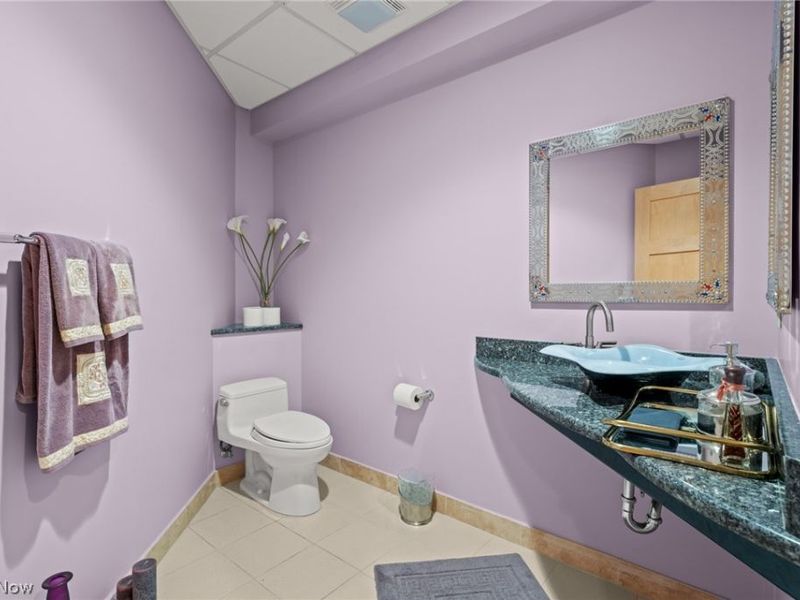 25 Brandon Court, Moreland Hills, OH 44022 Photo 49