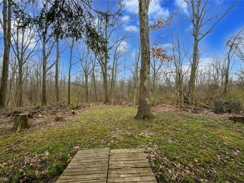 3826 Saint Nicholas Drive, Richfield, OH 44286 Photo 43