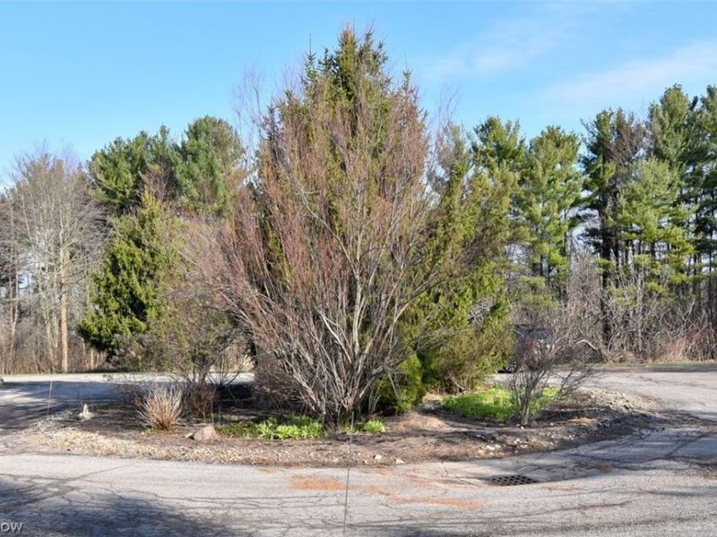 11106 Kimmeridge Trail, Unit 9B, Newbury, OH 44065 Photo 20