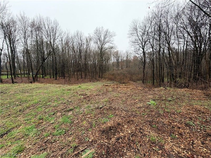 1422 Jacobs Lane , Kent, OH 44240 Photo 2