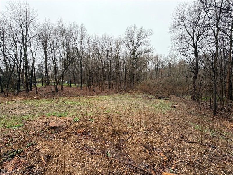 1422 Jacobs Lane , Kent, OH 44240 Photo 3