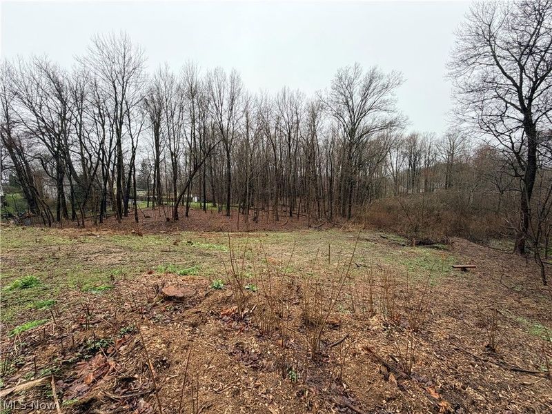 1422 Jacobs Lane , Kent, OH 44240 Photo 4