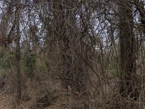 450 Old Princeton Road, Athens, GA 30606