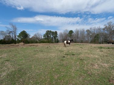 5220 Pulley Town Road, Zebulon, NC 27597