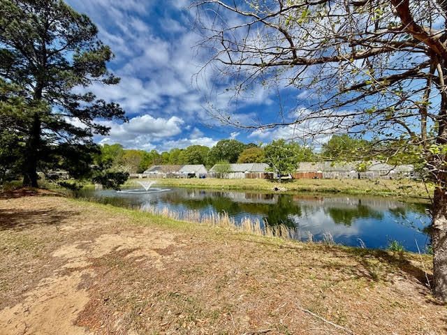 1424 Amanda Park Lane Photo 1