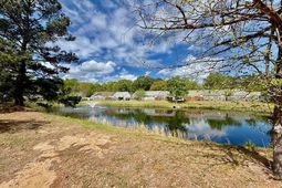 1424 Amanda Park Lane photo 4