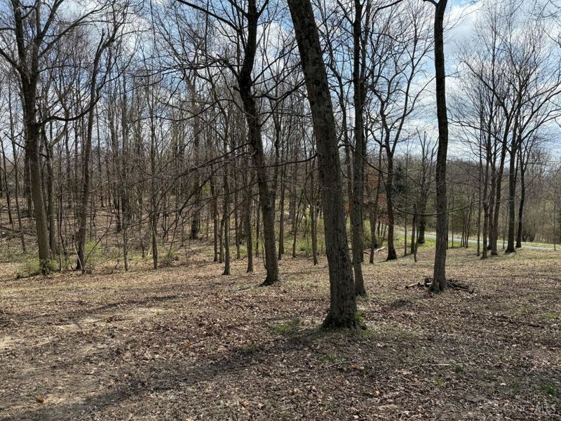 4825 Mount Washington Road, Hillsboro, OH 45133 Photo 21