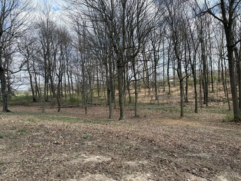 4825 Mount Washington Road, Hillsboro, OH 45133 Photo 23