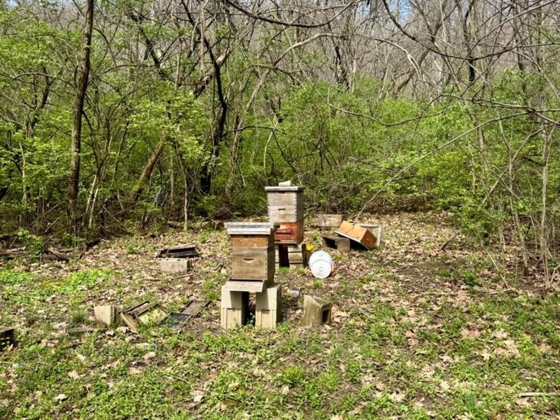 2241 Hamilton Cleves Road, Hamilton, OH 45013 Photo 33