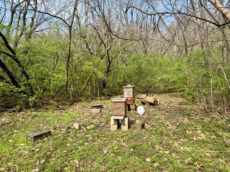 2241 Hamilton Cleves Road, Hamilton, OH 45013 Photo 34