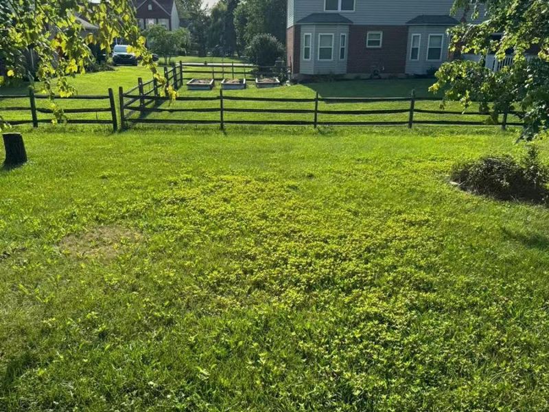 9729 Old Stable Court, Deerfield Twp., OH 45040 Photo 80