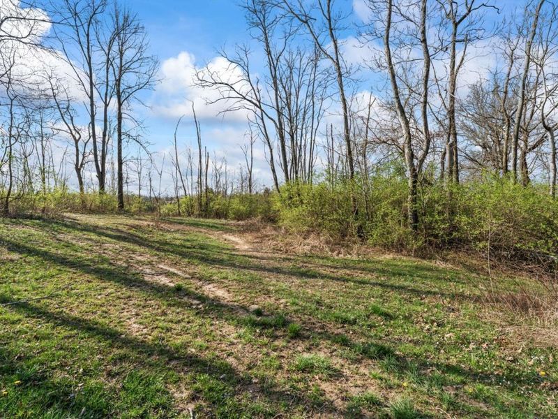 2425 Middleboro Road, Washington Township, OH 45113 Photo 17