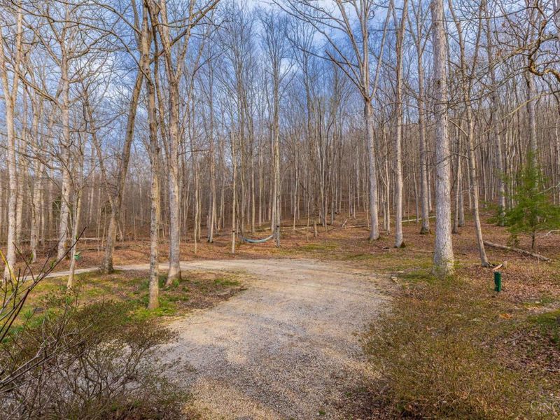 1620 Coffee Hollow Road, Peebles, OH 45660 Photo 16