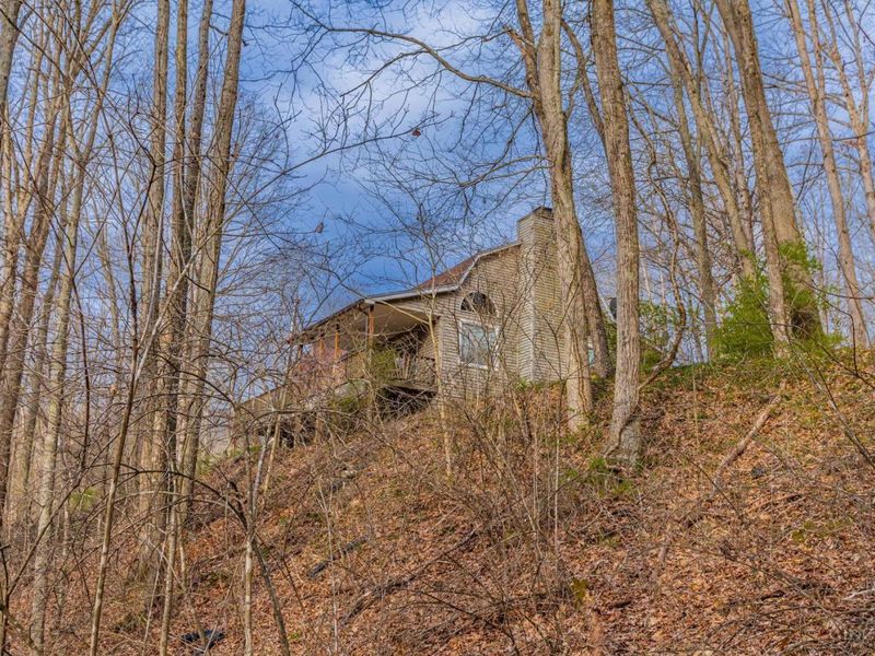 1620 Coffee Hollow Road, Peebles, OH 45660 Photo 18