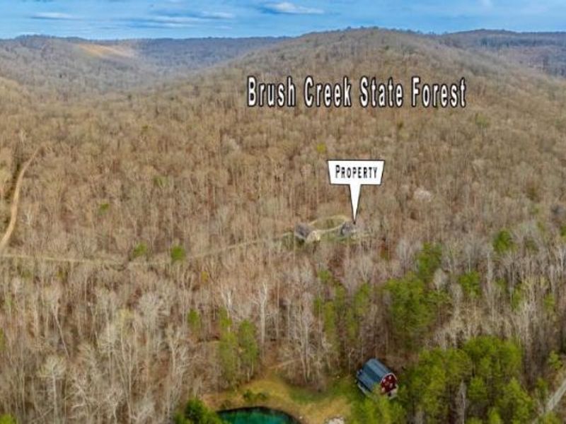 1620 Coffee Hollow Road, Peebles, OH 45660 Photo 19