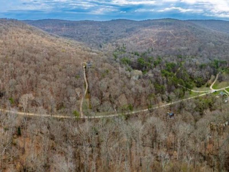 1620 Coffee Hollow Road, Peebles, OH 45660 Photo 20