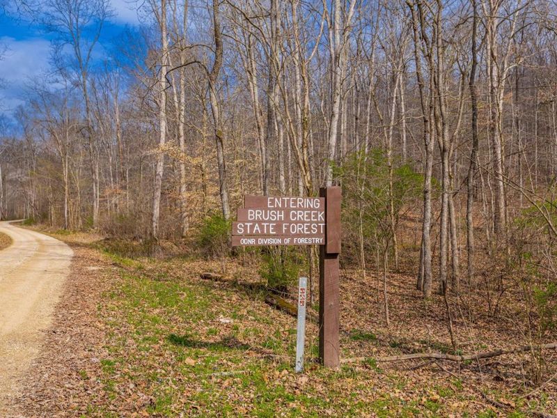 1620 Coffee Hollow Road, Peebles, OH 45660 Photo 21