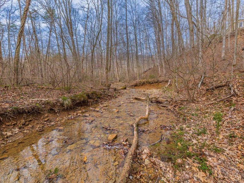 1620 Coffee Hollow Road, Peebles, OH 45660 Photo 27