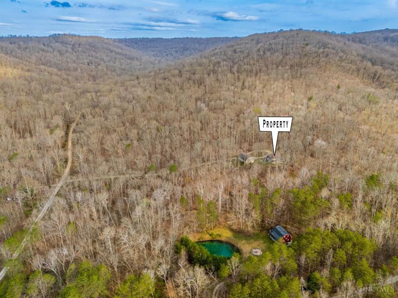 1620 Coffee Hollow Road, Peebles, OH 45660 Photo 29