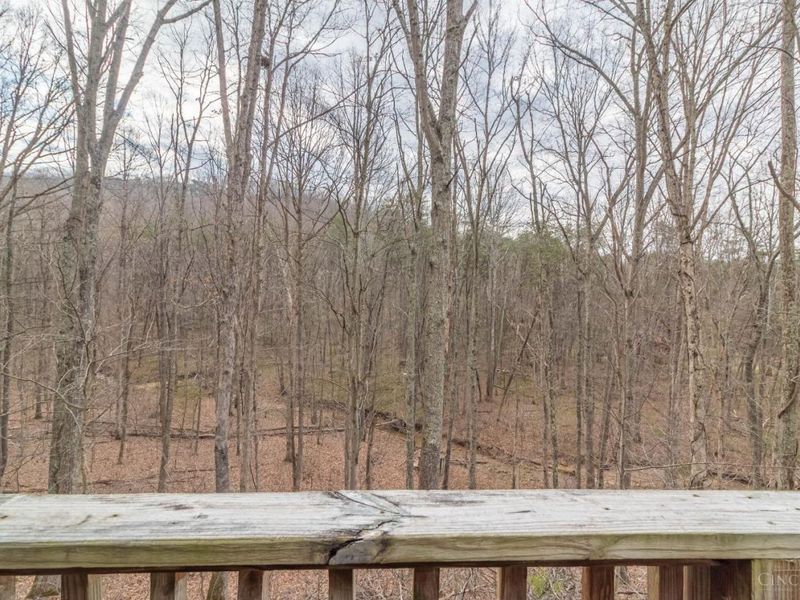 1620 Coffee Hollow Road, Peebles, OH 45660 Photo 32