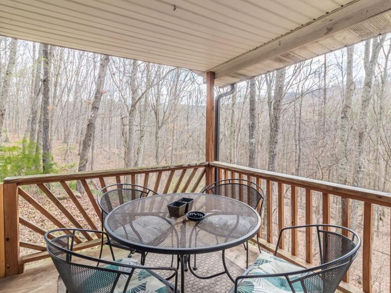 1620 Coffee Hollow Road, Peebles, OH 45660 Photo 33