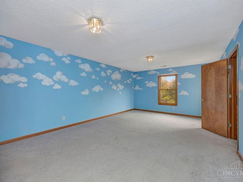 10525 Mill Road, Cincinnati, OH 45240 Photo 58