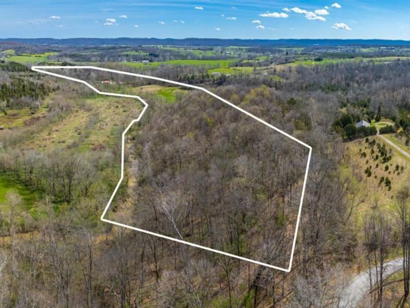 619 Seaman Road, Bratton Twp, OH 45660 Photo 3