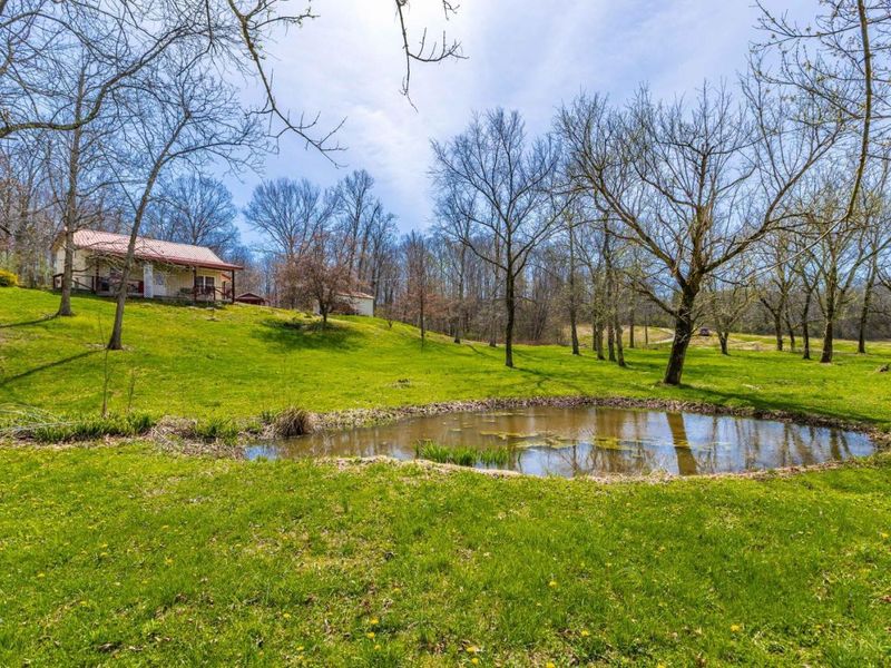 619 Seaman Road, Bratton Twp, OH 45660 Photo 4