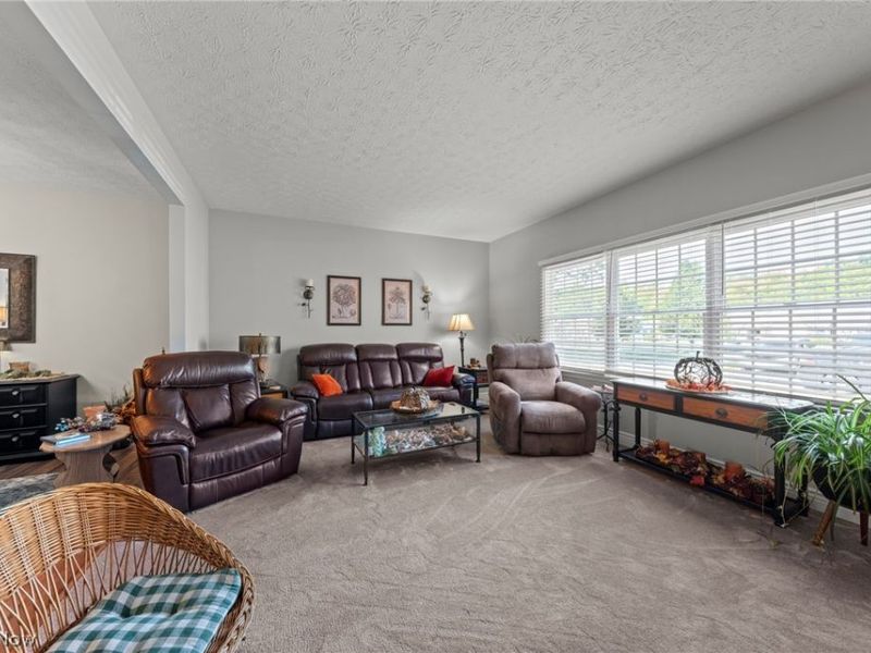 3953 Hilltop Drive, Vermilion, OH 44089 Photo 8