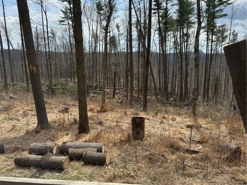 44800 Jim Stimpert Road, Lewisville, OH 43754 Photo 21