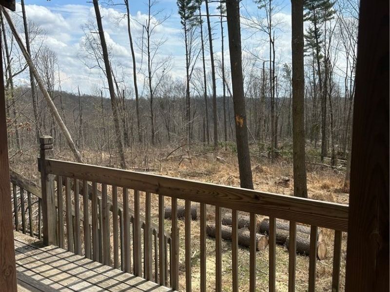 44800 Jim Stimpert Road, Lewisville, OH 43754 Photo 22