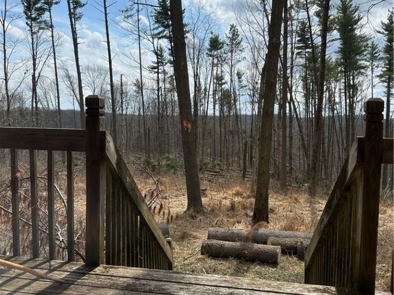 44800 Jim Stimpert Road, Lewisville, OH 43754 Photo 23