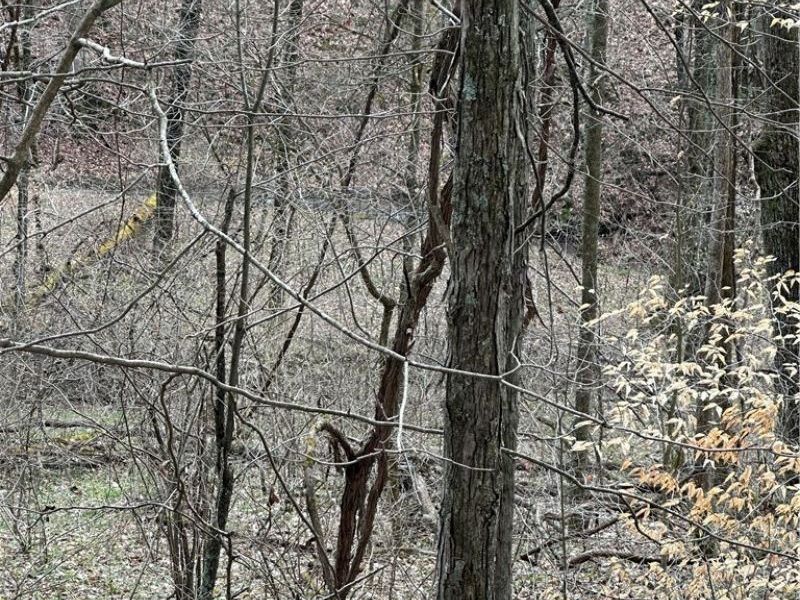 44800 Jim Stimpert Road, Lewisville, OH 43754 Photo 24