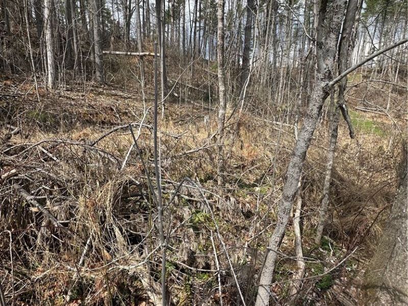 44800 Jim Stimpert Road, Lewisville, OH 43754 Photo 29