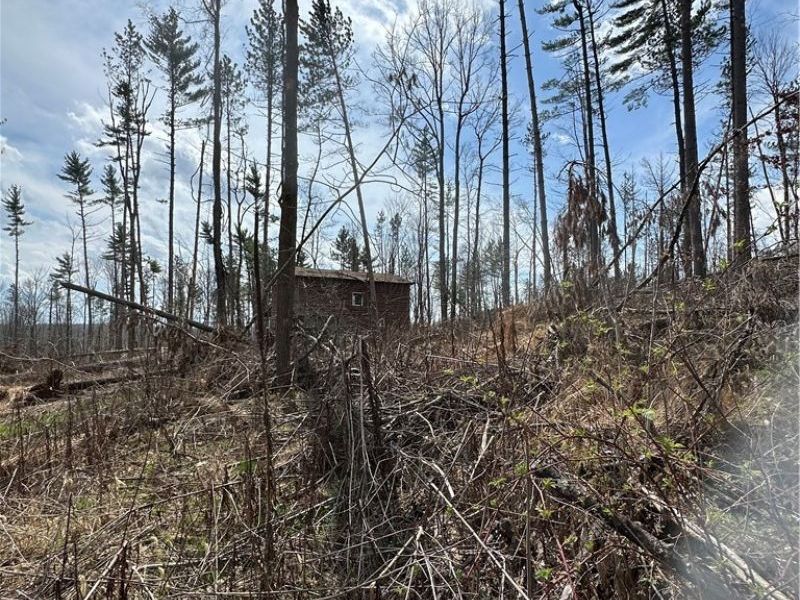 44800 Jim Stimpert Road, Lewisville, OH 43754 Photo 30