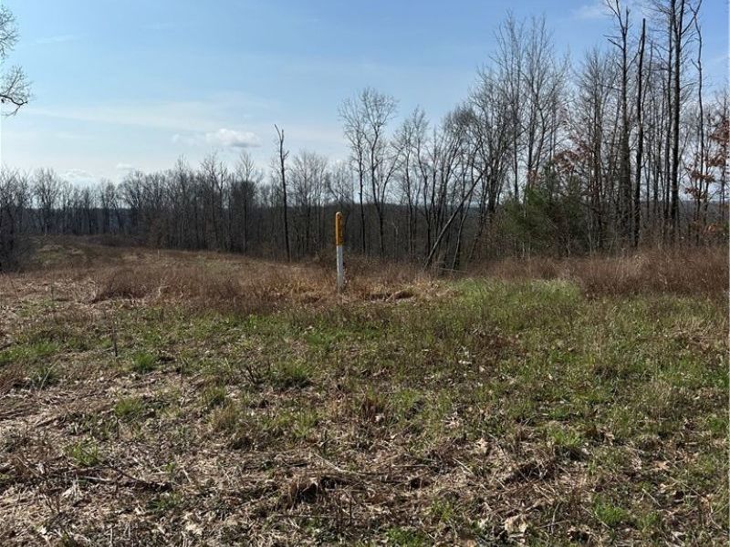 44800 Jim Stimpert Road, Lewisville, OH 43754 Photo 31