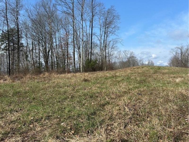 44800 Jim Stimpert Road, Lewisville, OH 43754 Photo 32