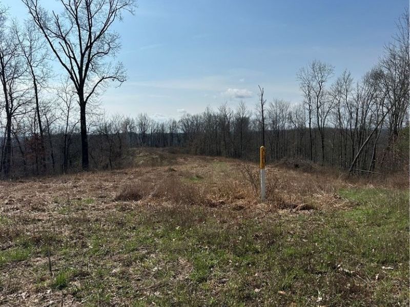 44800 Jim Stimpert Road, Lewisville, OH 43754 Photo 33