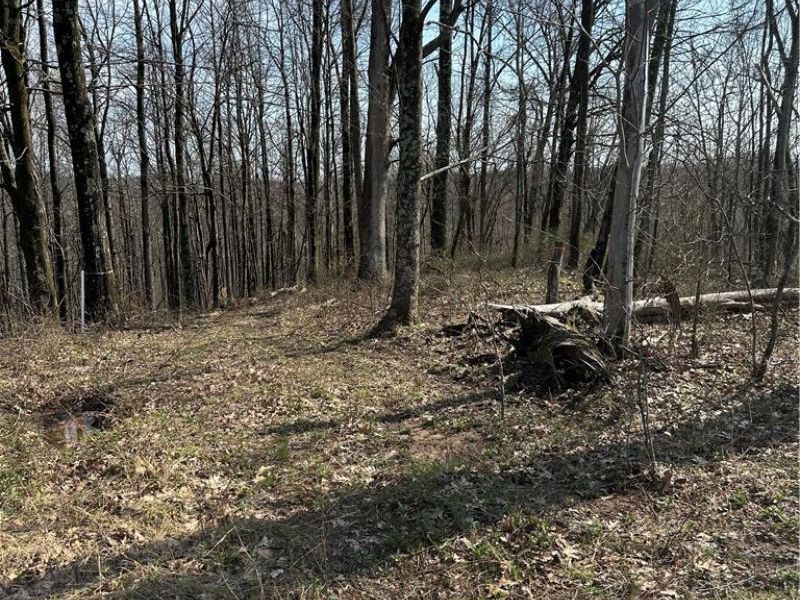 44800 Jim Stimpert Road, Lewisville, OH 43754 Photo 34