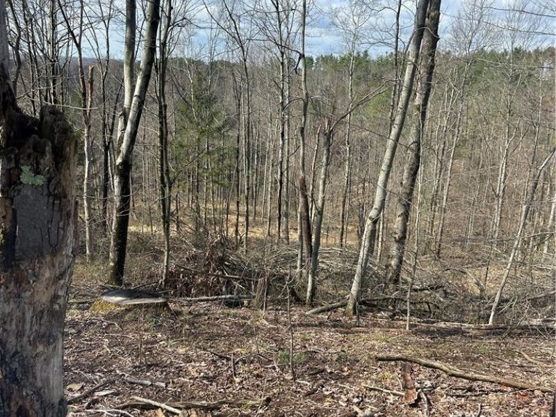 44800 Jim Stimpert Road, Lewisville, OH 43754 Photo 35