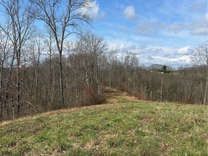 44800 Jim Stimpert Road, Lewisville, OH 43754 Photo 36