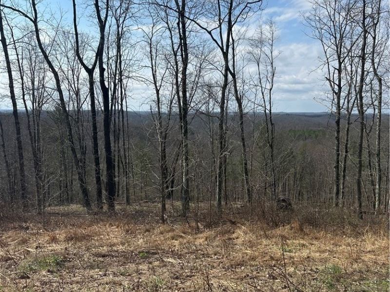 44800 Jim Stimpert Road, Lewisville, OH 43754 Photo 37